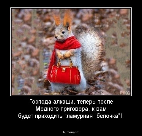 Господа алкаши, теперь после Модного приговора, к вам будет приходить гламурная "белочка"!