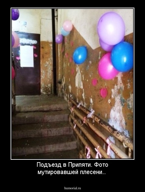 Подъезд в Припяти. Фото мутировавшей плесени..
