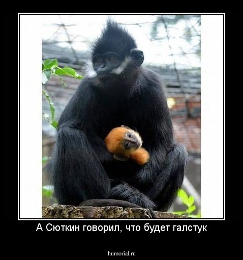 А Сюткин говорил, что будет галстук