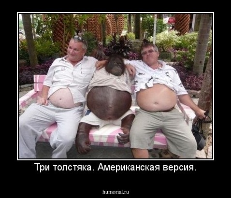 Три толстяка. Американская версия.