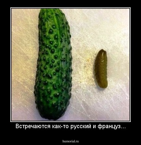 Встречаются как-то русский и француз...