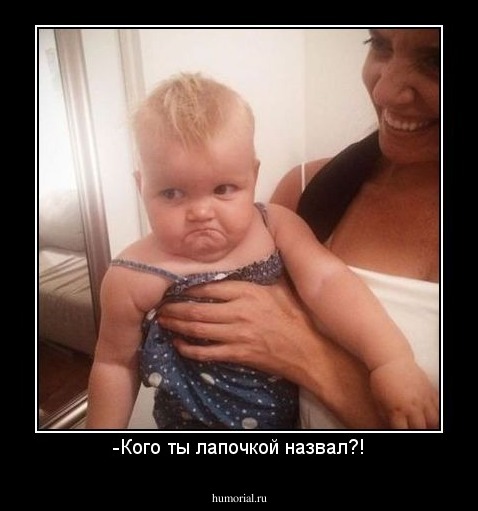 -Кого ты лапочкой назвал?!