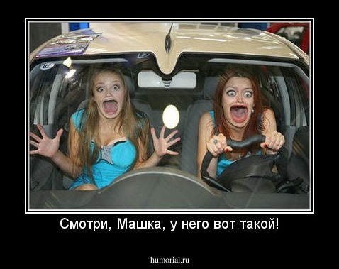 Смотри, Машка, у него вот такой!