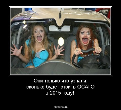 Они только что узнали, сколько будет стоить ОСАГО в 2015 году!