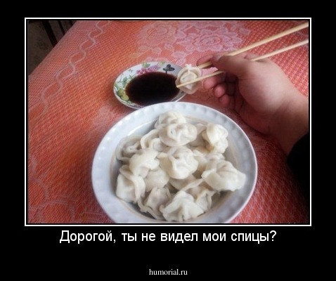 Дорогой, ты не видел мои спицы?