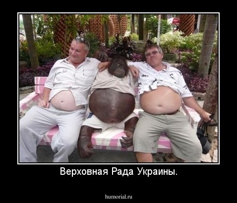 Верховная Рада Украины.