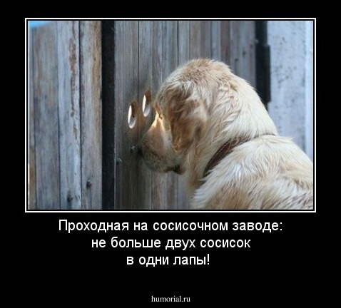 Проходная на сосисочном заводе: не больше двух сосисок в одни лапы!