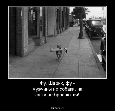 Фу, Шарик, фу - мужчины не собаки, на кости не бросаются!