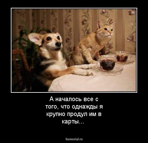 А началось все с того, что однажды я крупно продул им в карты...