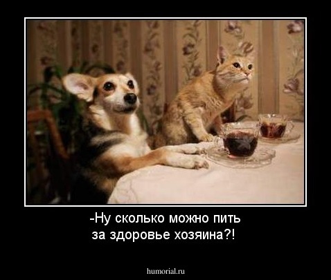 -Ну сколько можно пить за здоровье хозяина?!
