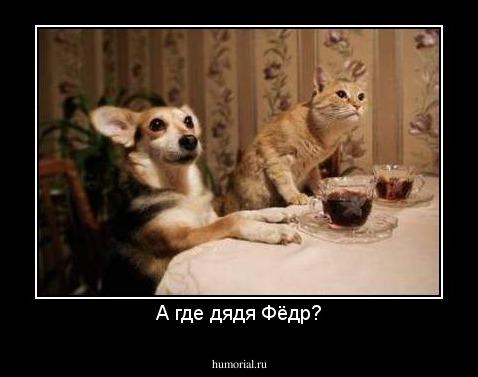 А где дядя Фёдр?