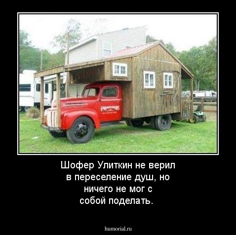 Шофер Улиткин не верил в переселение душ, но ничего не мог с собой поделать.
