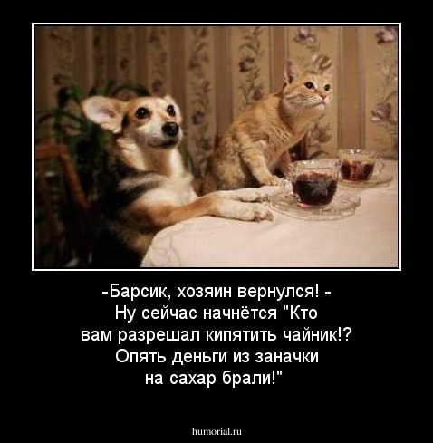 -Барсик, хозяин вернулся!
- Ну сейчас начнётся "Кто вам разрешал кипятить чайник!? Опять деньги из заначки на сахар брали!"