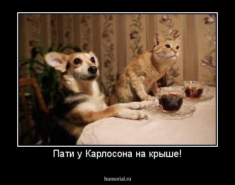 Пати у Карлосона на крыше!