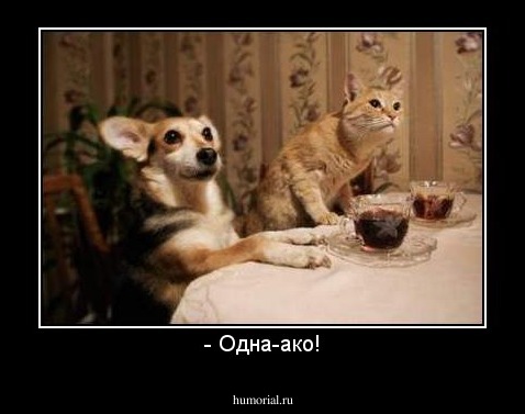 - Одна-ако!