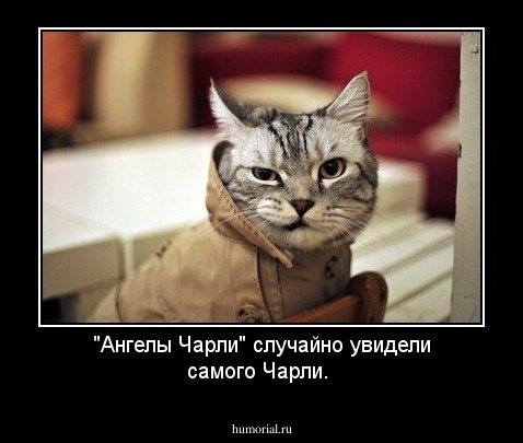 "Ангелы Чарли" случайно увидели самого Чарли.