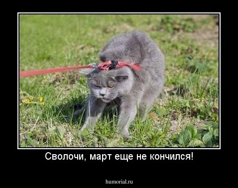 Сволочи, март еще не кончился!