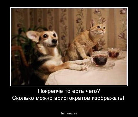 Покрепче то есть чего? Сколько можно аристократов изображать!