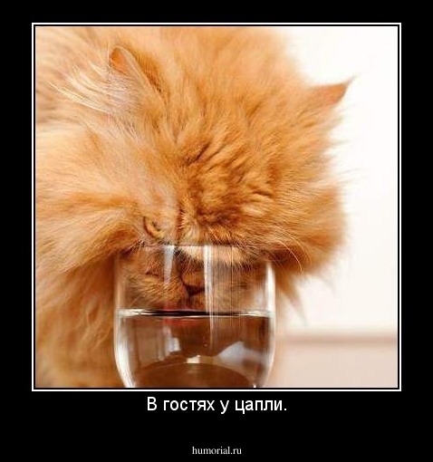 В гостях у цапли.