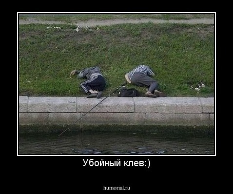 Убойный клев:)