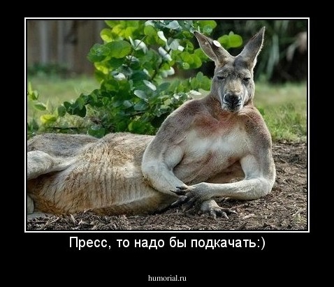 Пресс, то надо бы подкачать:)