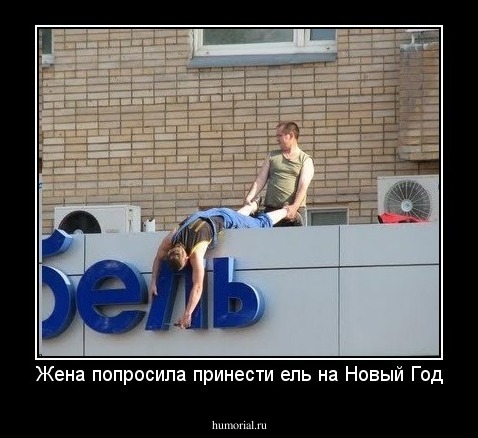 Жена попросила принести ель на Новый Год
