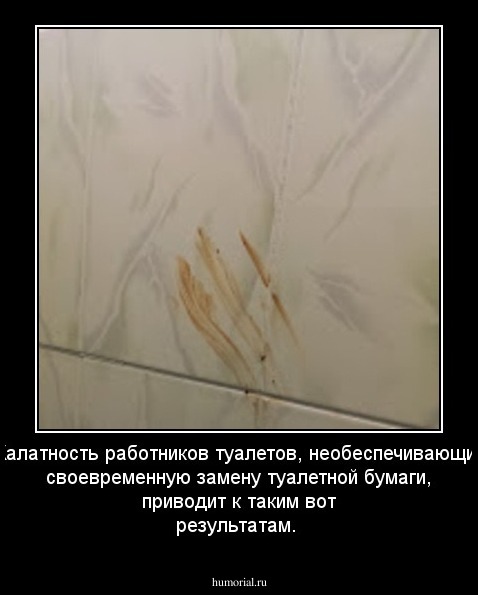 Халатность работников туалетов, необеспечивающих своевременную замену туалетной бумаги, приводит к таким вот результатам.