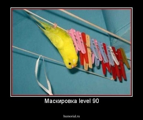 Маскировка level 90