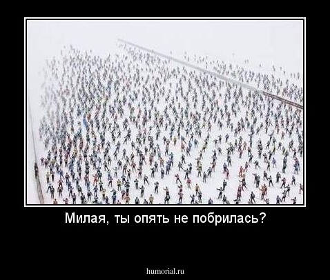 Милая, ты опять не побрилась?
