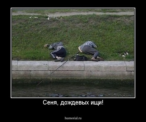 Сеня, дождевых ищи!