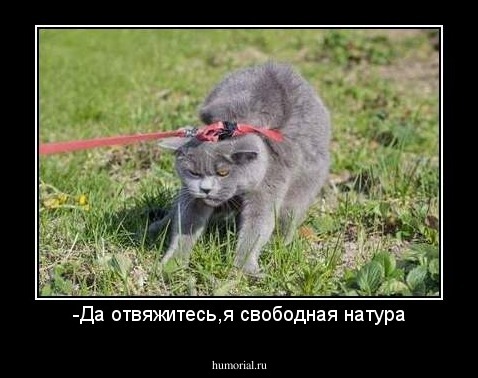-Да отвяжитесь,я свободная натура
