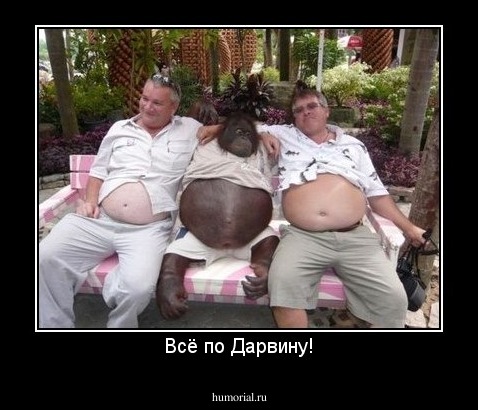 Всё по Дарвину!