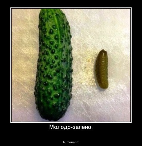 Молодо-зелено.