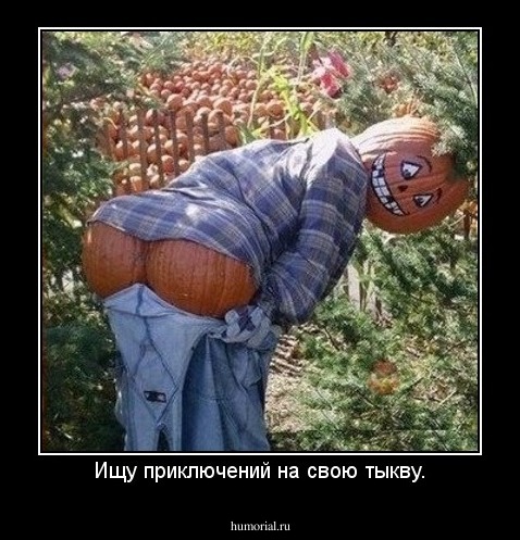 Ищу приключений на свою тыкву.
