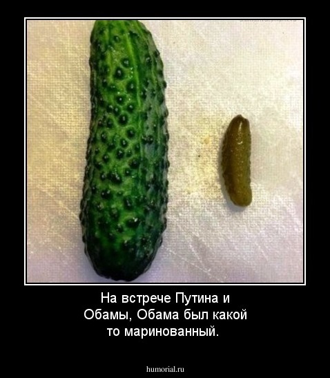 На встрече Путина и Обамы, Обама был какой то маринованный.