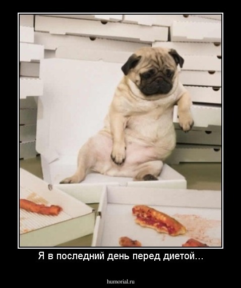Я в последний день перед диетой...