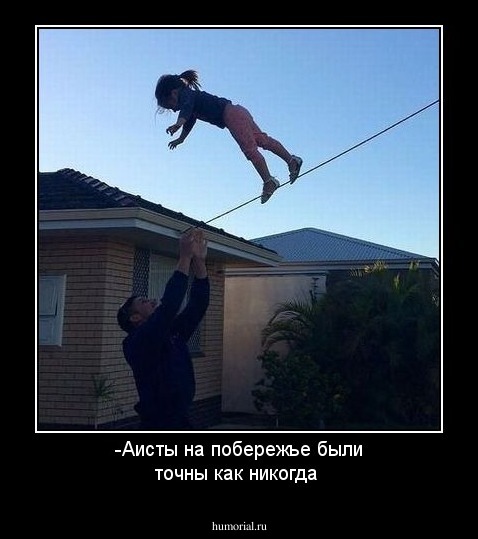 -Аисты на побережье были точны как никогда