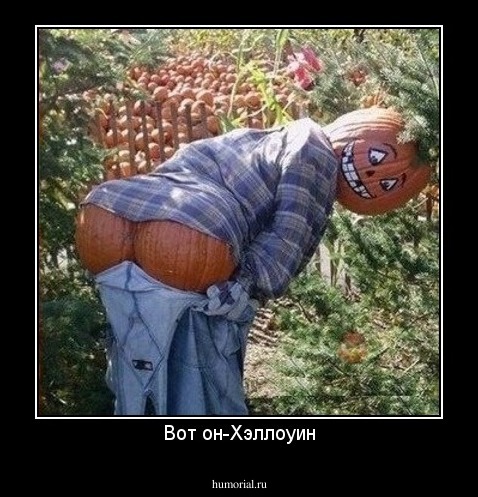 Вот он-Хэллоуин