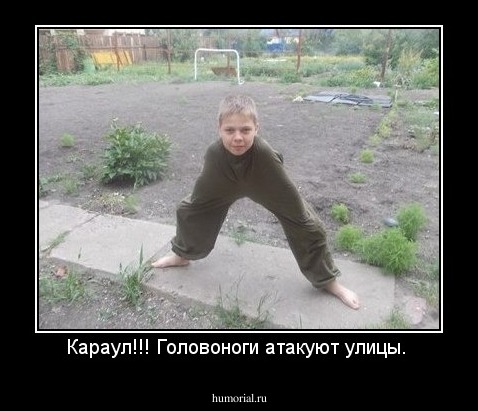 Караул!!! Головоноги атакуют улицы. 