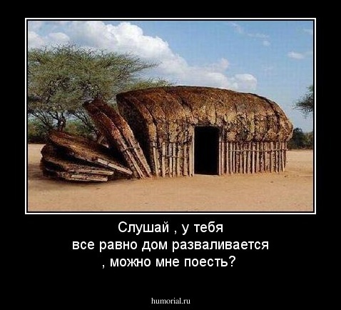 Слушай , у тебя все равно дом разваливается , можно мне поесть?
