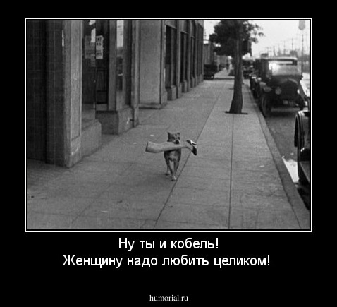 Ну ты и кобель! Женщину надо любить целиком!