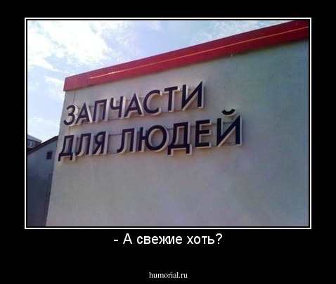 - А свежие хоть?