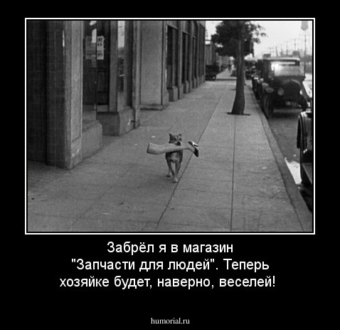 Забрёл я в магазин "Запчасти для людей". Теперь хозяйке будет, наверно, веселей!