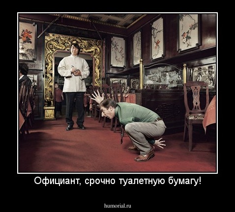Официант, срочно туалетную бумагу!