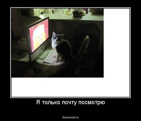 Я только почту посмотрю