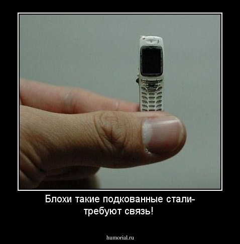 Блохи такие подкованные стали- требуют связь!