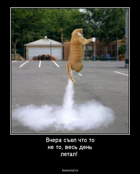 Вчера съел что то не то, весь день летал!