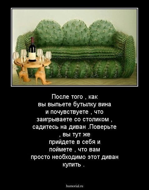 После того , как вы выпьете бутылку вина и почувствуете , что заигрываете со столиком , садитесь на диван .Поверьте , вы тут же прийдете в себя и поймете , что вам просто необходимо этот диван купить .