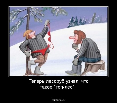 Теперь лесоруб узнал, что такое "топ-лес".