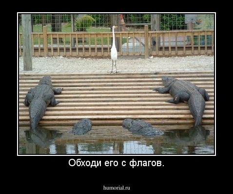 Обходи его с флагов.